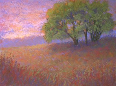 Field's End Evening