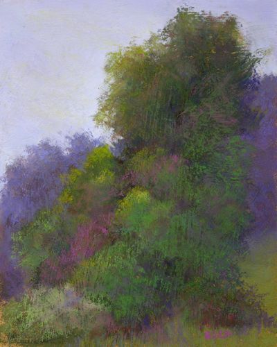 Trees,Cloudy Day